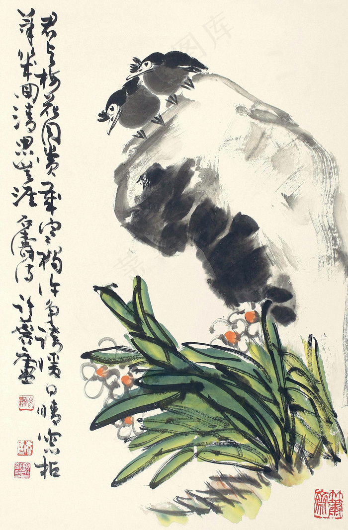 水仙八哥图片