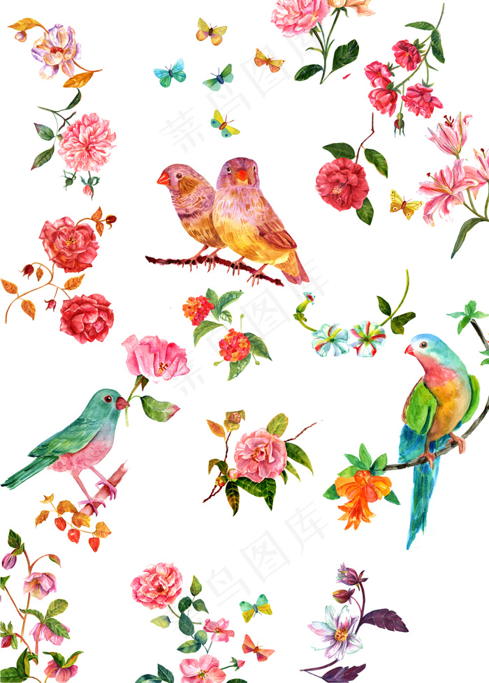 分层手绘花鸟鹦鹉花朵插画