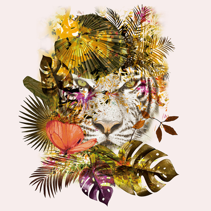 动物老虎插画ai矢量模版下载