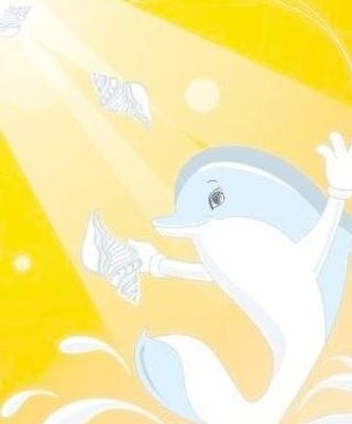 魅力海豚 海豚跳水 水滴图片