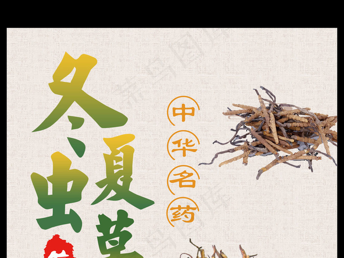 中国风冬虫夏草海报(3543X5315(DPI:150))psd模版下载