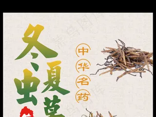 中国风冬虫夏草海报