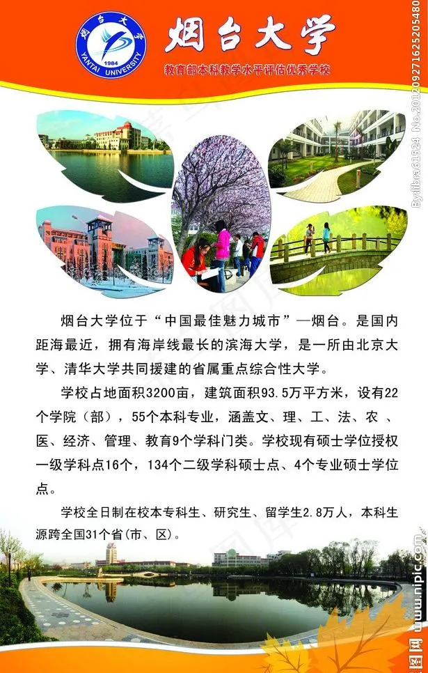 学校简介易拉宝图片(3402X5669(DPI:72))psd模版下载