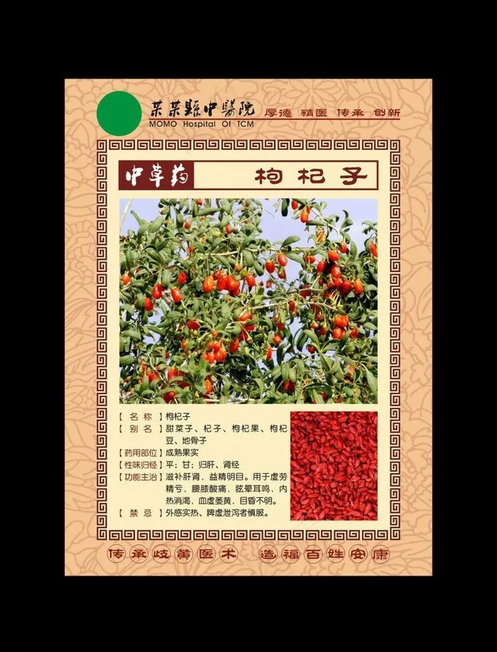 中草药 枸杞子图片cdr矢量模版下载