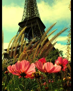 巴黎铁塔鲜花客厅装饰图片