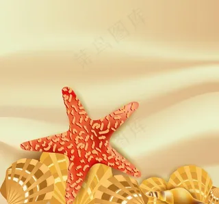 沙滩海洋生物图片