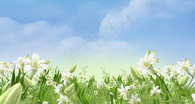 LED百合花开放