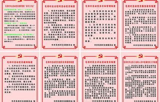 党员 制度 流动党员制度图片