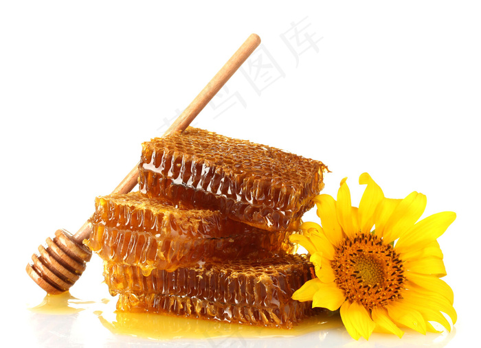 花朵与蜂蜜图片