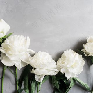 简约小清新文艺风插花静物摆拍背景