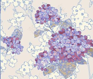 紫花矢量图图片