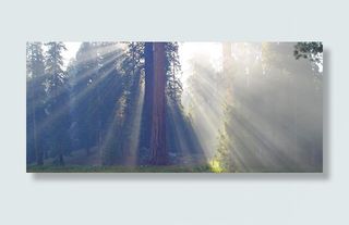 环保类网页设计