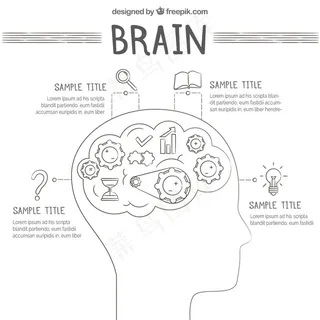 人脑信息图表与图标