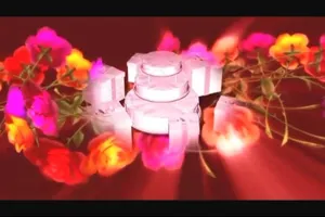情人节视频素材