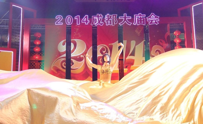 2014年成都大庙会图片
