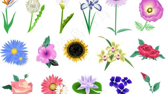 矢量花朵图片 矢量花朵图片
