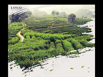 清新简洁茶叶海报设计模版 清新简洁茶叶海报设计模版
