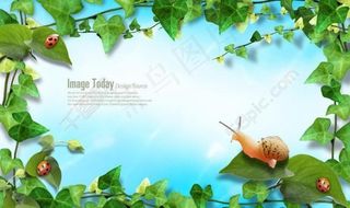 春天叶子边框图片