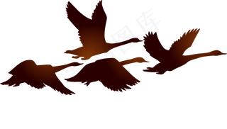 水彩手绘鸟类小鸟麻雀PNG免扣图片