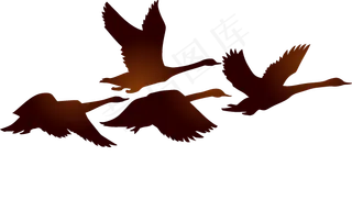 水彩手绘鸟类小鸟麻雀PNG免扣图片