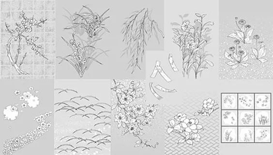 日本的植物材料拉伸50矢量鲜花（