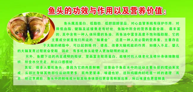 鱼头cdr矢量模版下载