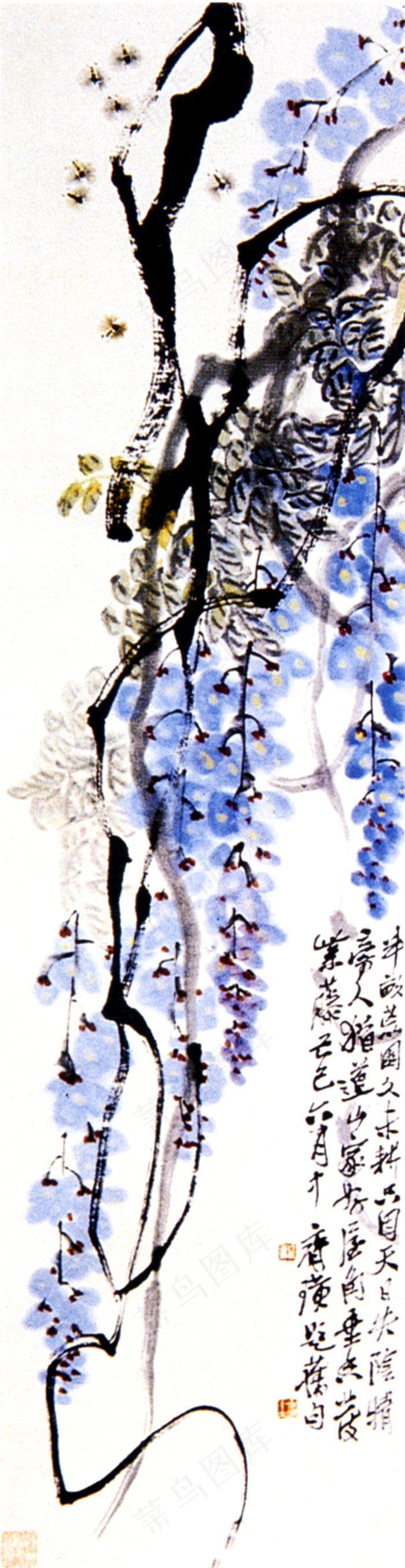 紫藤蜜蜂