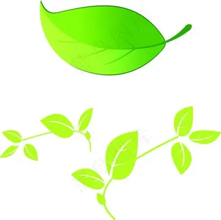 绿色树叶素材