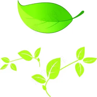绿色树叶素材