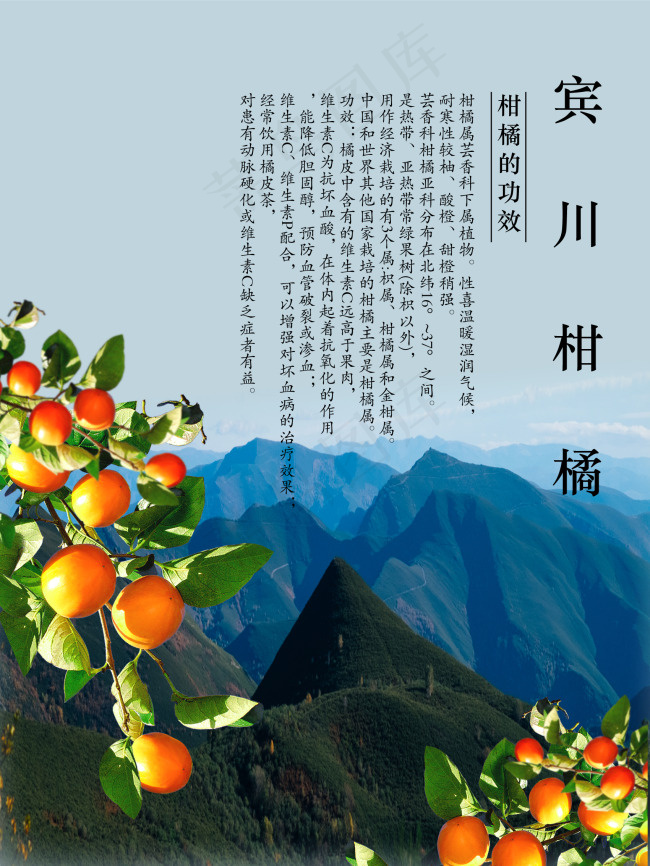 橘子相框ai矢量模版下载