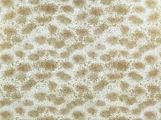 点黄色纹理图片