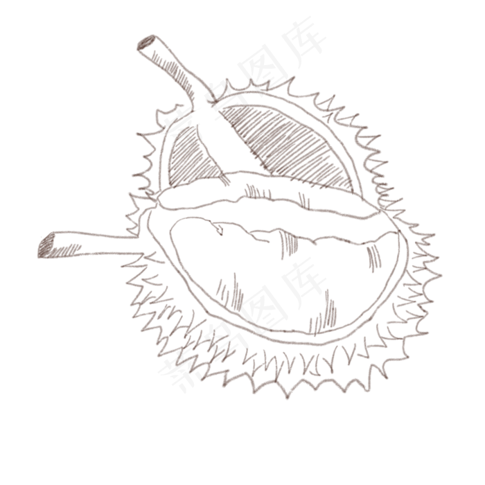 卡通线描榴莲插画