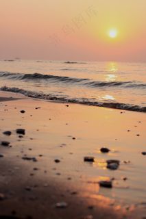 海滩遗贝图片