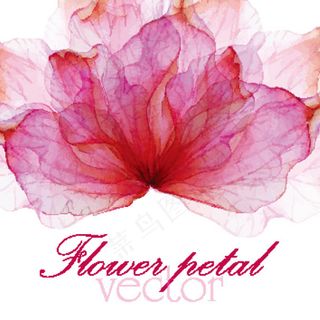 粉色梦幻花瓣矢量背景