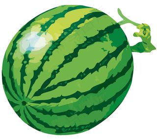 西瓜素材