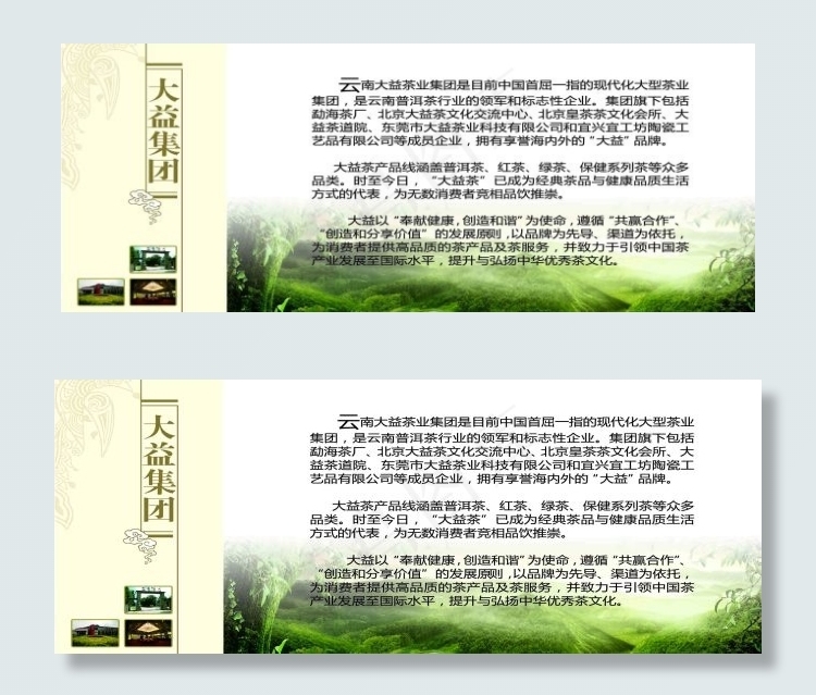大益集团简介psd模版下载