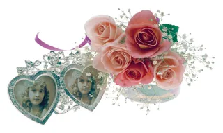 玫瑰花与相框图片