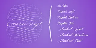 coneria脚本倾斜的字体