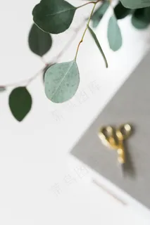 简约小清新文艺风插花静物摆拍背景