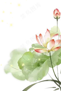 手绘水墨夏季荷花主题边框背景