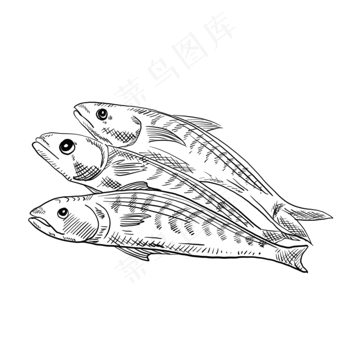 海鲜鱼手绘卡通黑白简笔画,免抠元素(2000*2000px 300 dpi )psd模版下载