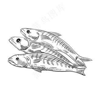 海鲜鱼手绘卡通黑白简笔画,免抠元素