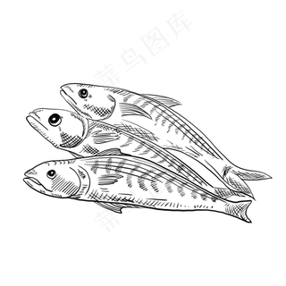 海鲜鱼手绘卡通黑白简笔画,免抠元素