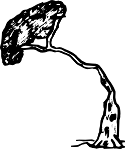 松树的剪辑艺术