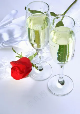 香槟 玫瑰图片