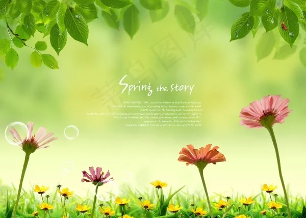 春天花卉背景psd素材(3500X2500(DPI:300))psd模版下载