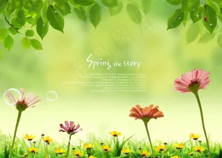 春天花卉背景psd素材
