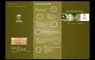 中药推拿 三折页图片