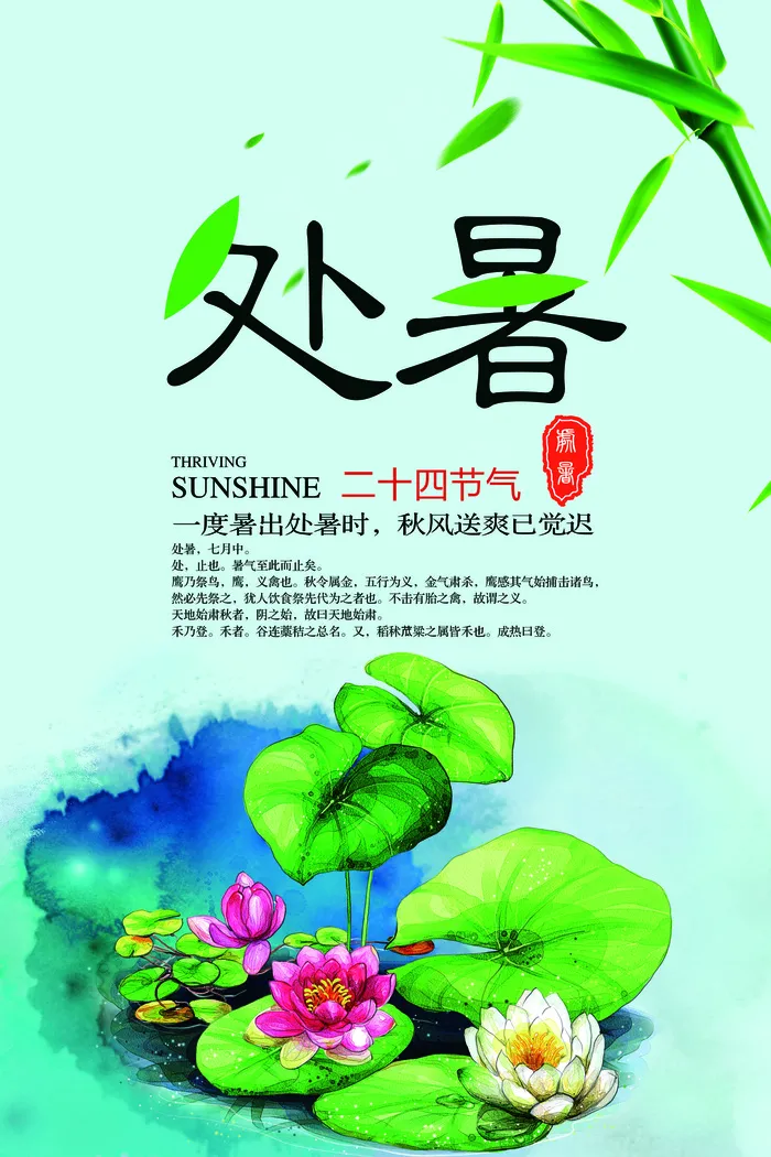 清新创意24节气之处暑海报