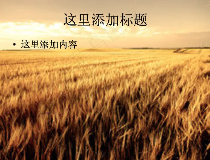 收获的季节PPT模板范文素材风景...